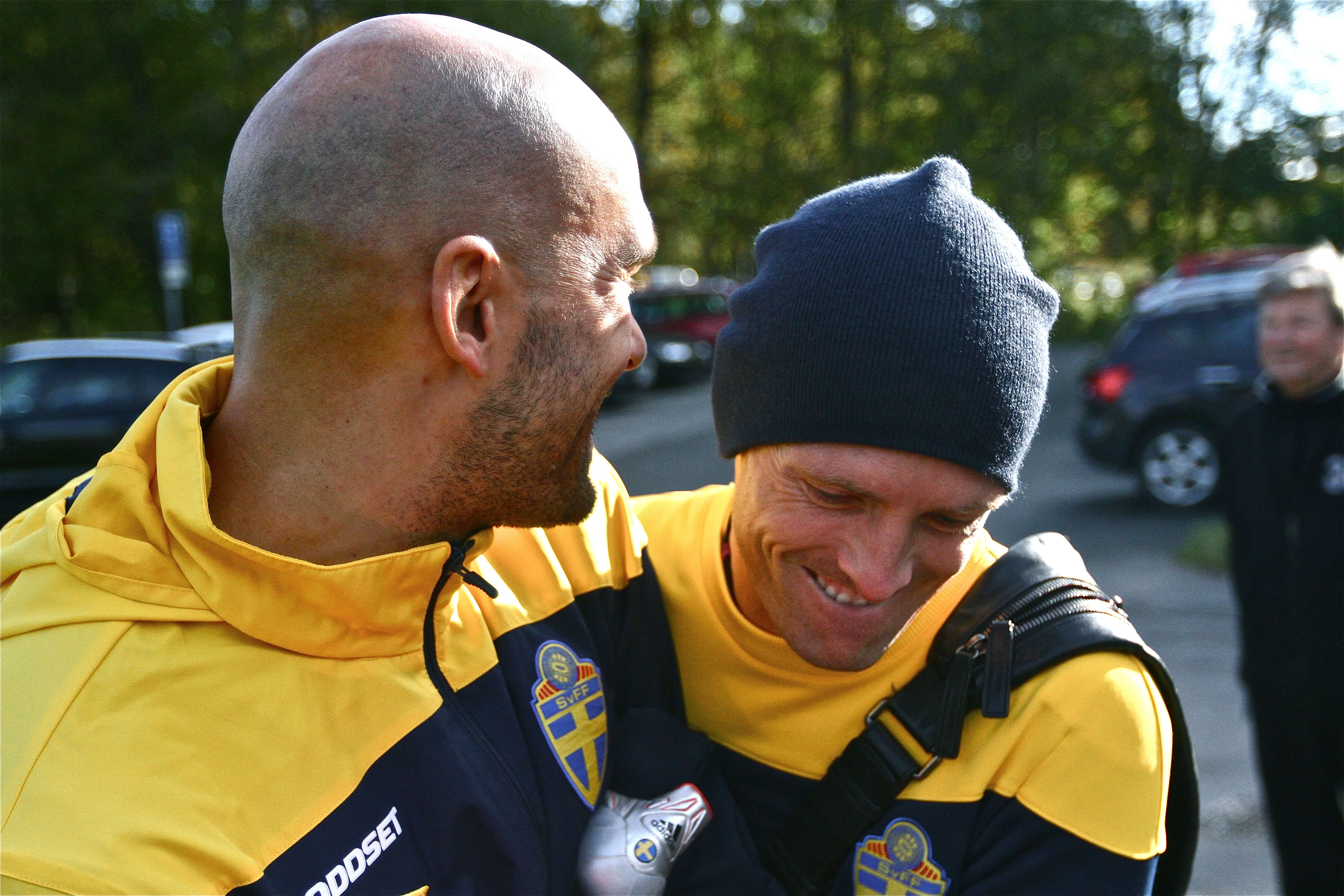 Daniel Majstorovic, Christian Wilhelmsson, Chippen, Zlatan Ibrahimovic, Brottas