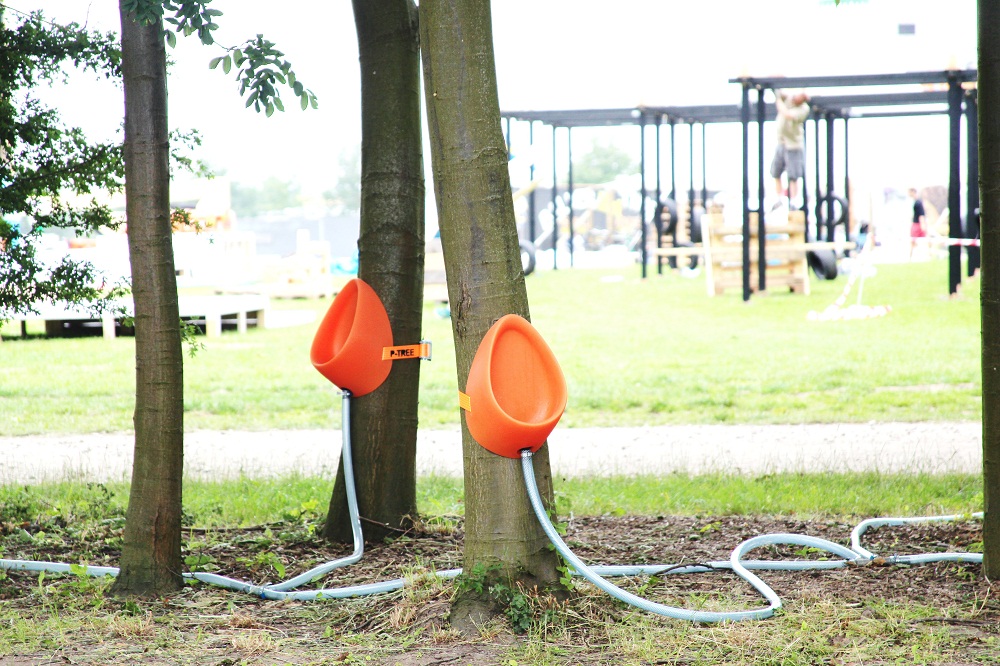 Festival24, Nyheter