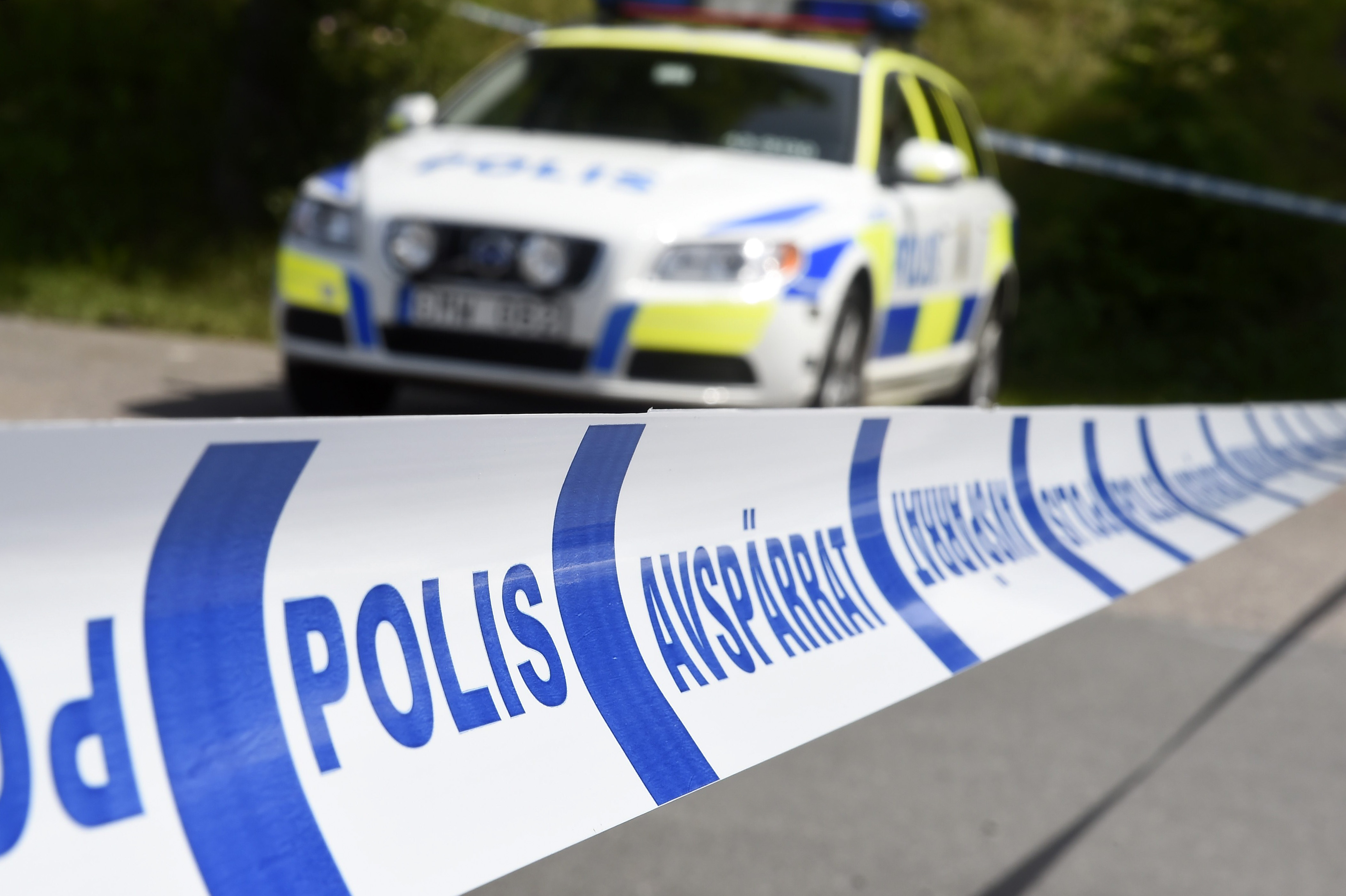 Tioårig flicka försvunnen – polisen vädjar allmänheten om hjälp