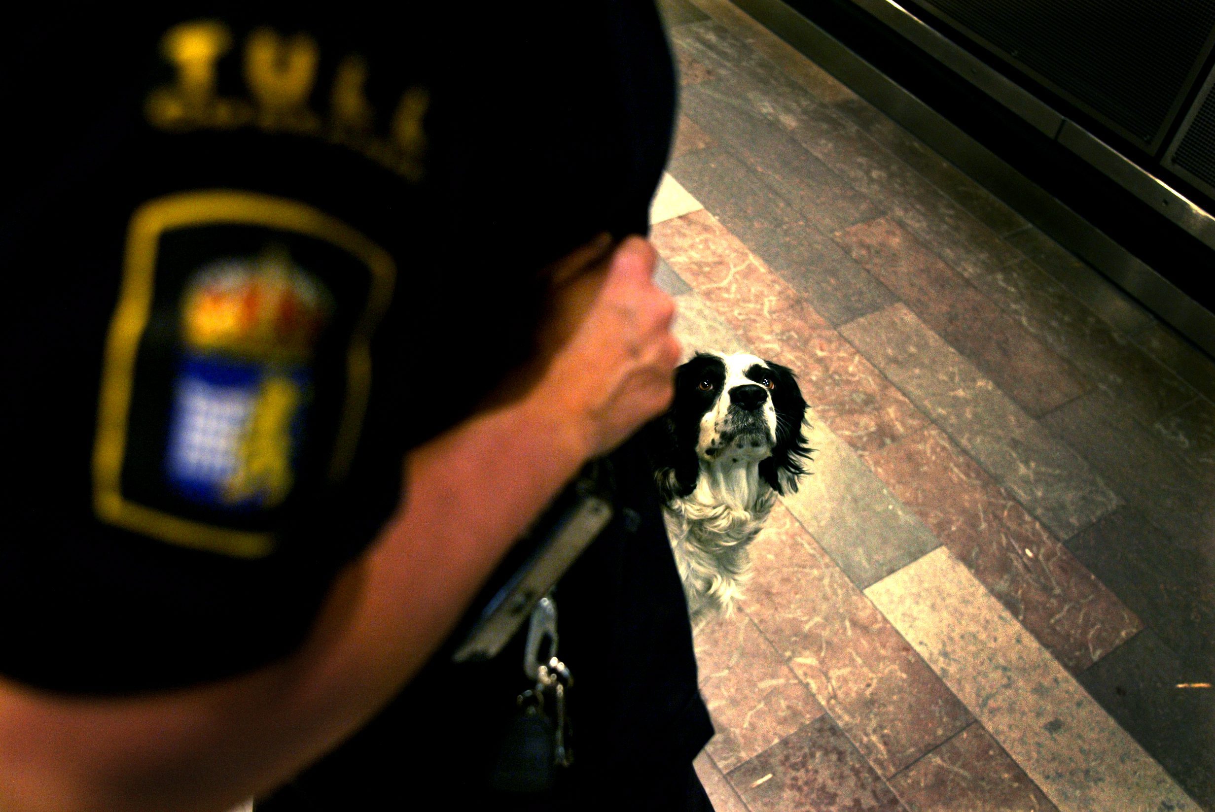 Narkotika, Öresundståget, Hund, Smörgås, Frukost, Tullverket