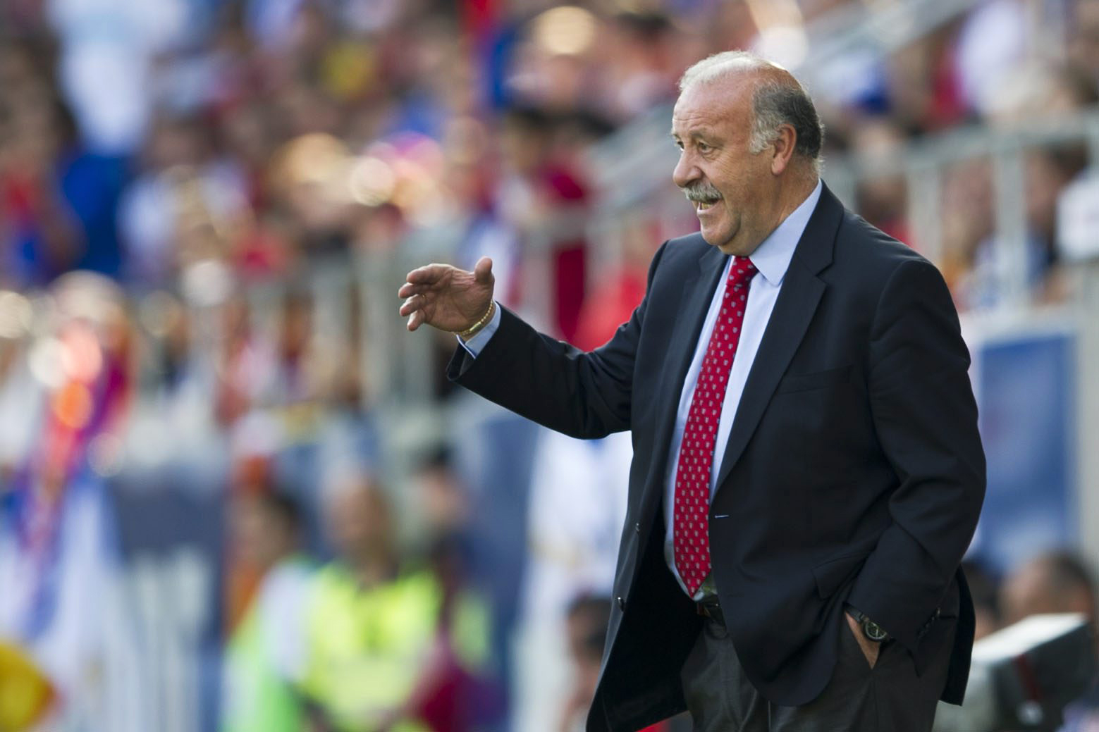 EM i korthet, Spanien, Fotboll, Frankrike, EM, Vicente del Bosque