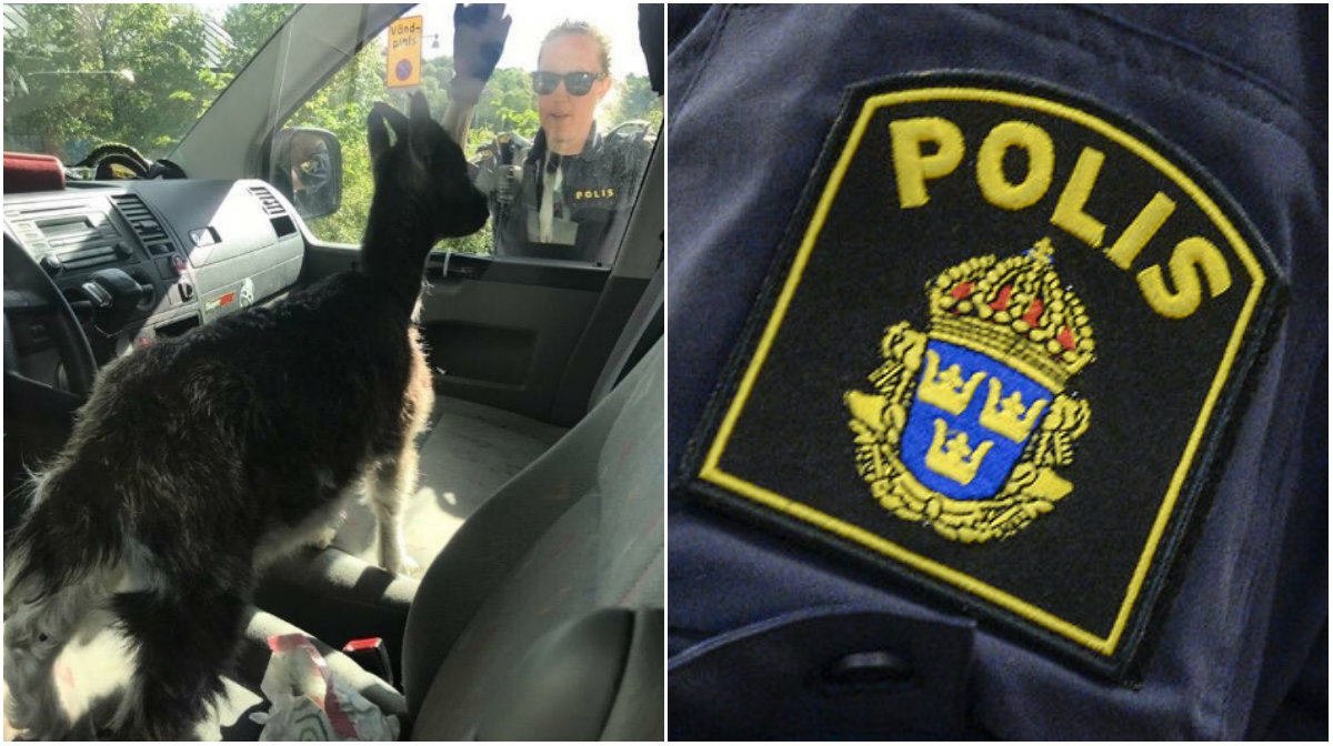 Polisen fick rädda get ur varm bil