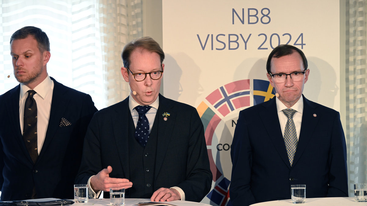 Utrikesminister Tobias Billström flankerad av Litauens utrikesminister Gabrielius Landsbergis (vänster) och Norges dito Espen Barth Eide vid en pressträff i Visby på onsdagen.