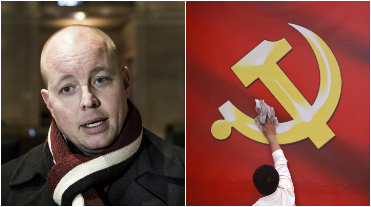 Björn Söder, Riksdagen, Sverigedemokraterna