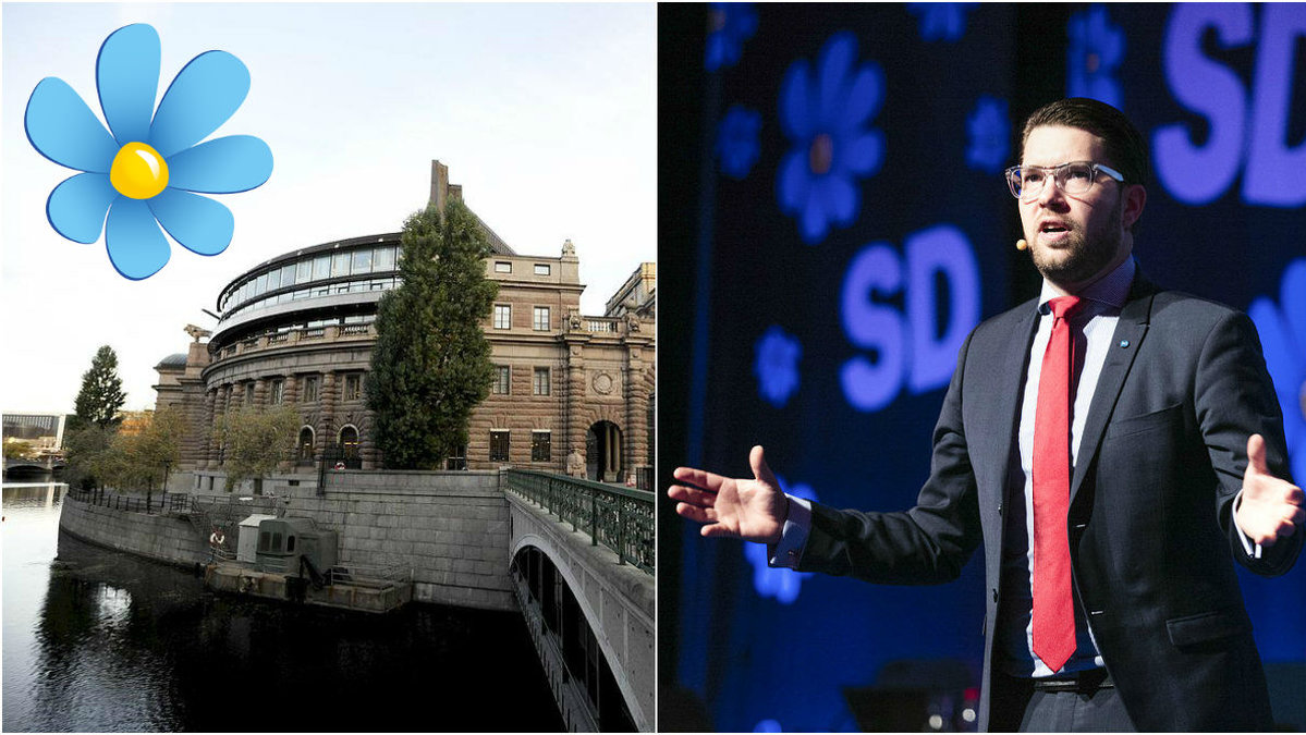 Enligt en ny undersökning så stöttar var femte svensk Sverigedemokraterna. 