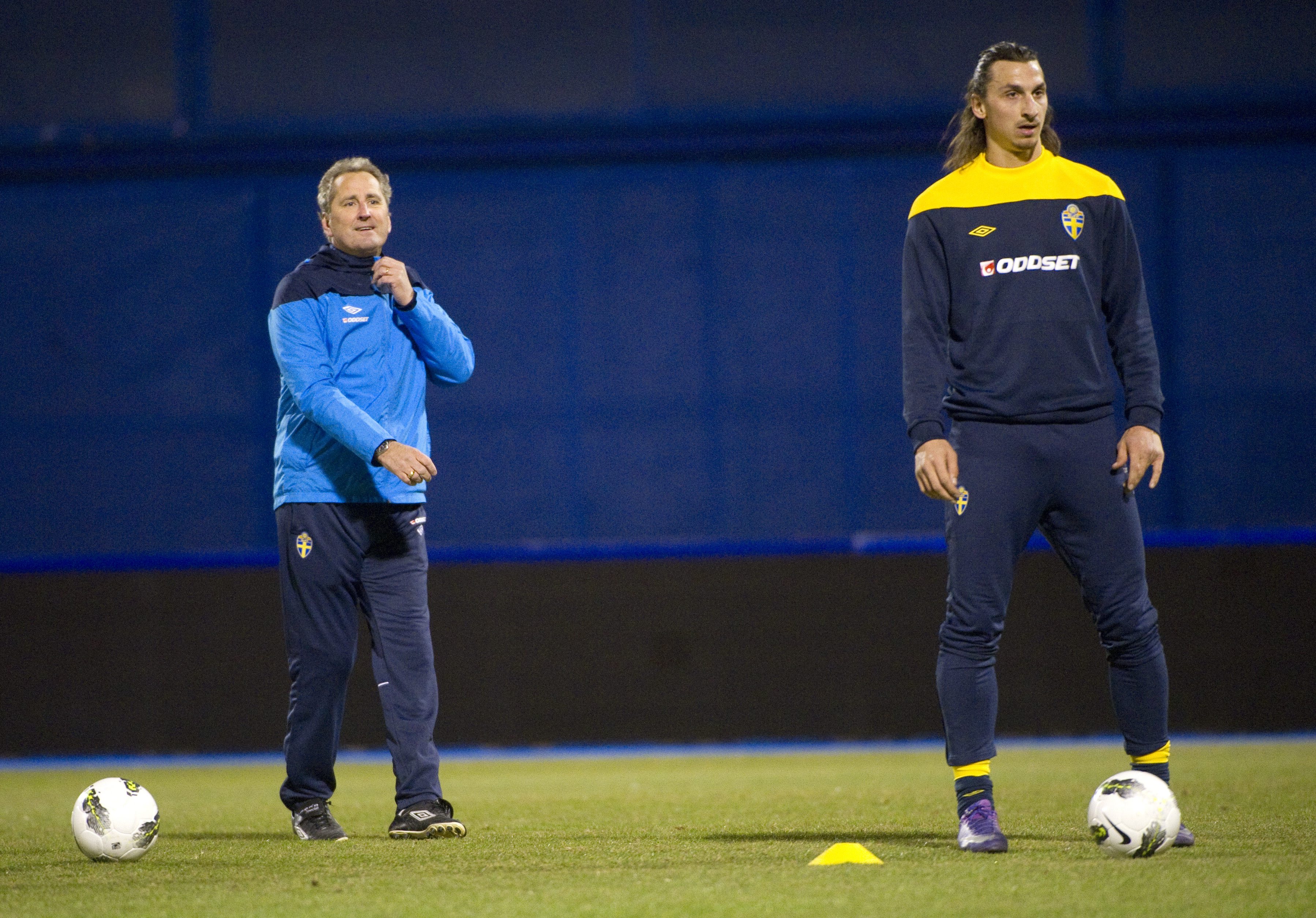 Zlatan Ibrahimovic tror att Sverige går långt om man lyckas hålla ihop laget och slippa skador.