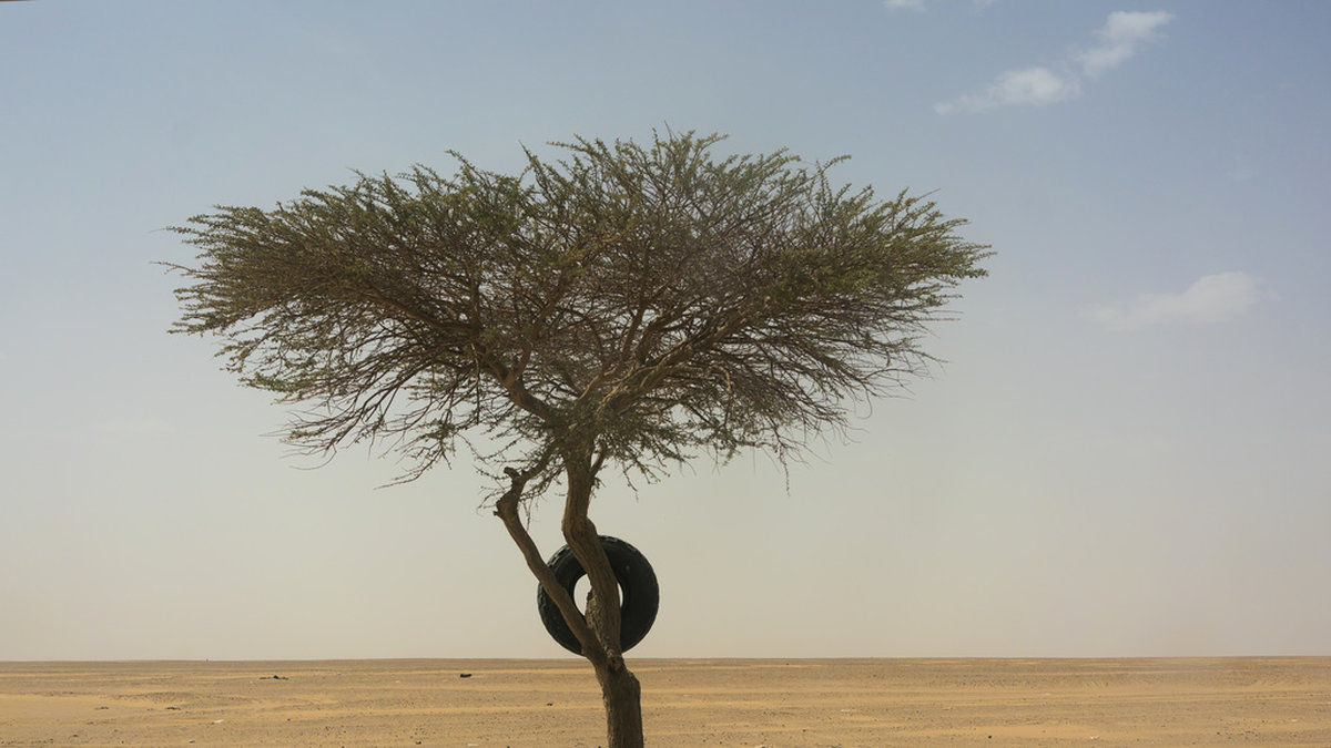 Arkivbild från Niger – ett av de länder som nyligen drabbades av extrem värme.