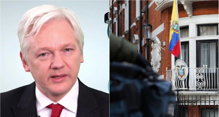 Utredning, Wikileaks, Julian Assange
