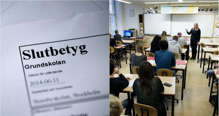 Arbetsmiljöverket, Skola, Gustav Fridolin