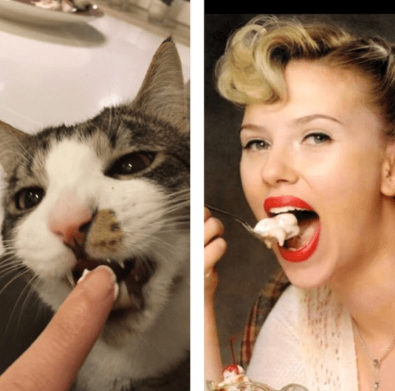 Scarlett Johansson. Scarlett Johansson.