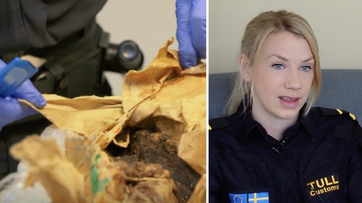Mimmi från "Gränsbevakarna Sverige" berättar om fyndet i tullen