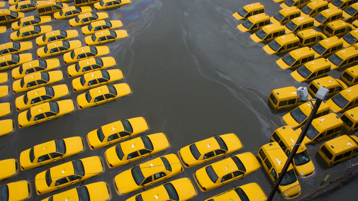 En parkering full av den välkända gula taxibilen.