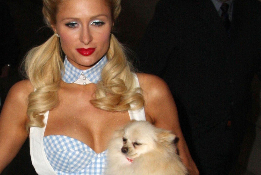 Paris Hilton bjöd inte in några strippor på sin fest när hon fyllde 27 – hon agerade strippa för egen maskin istället. Dessutom bjöd hon på en burleskshow klädd i svart läder. (Bilden är från ett annat tillfälle) Paris Hilton bjöd inte in några strippor på sin fest när hon fyllde 27 – hon agerade strippa för egen maskin istället. Dessutom bjöd hon på en burleskshow klädd i svart läder. (Bilden är från ett annat tillfälle)