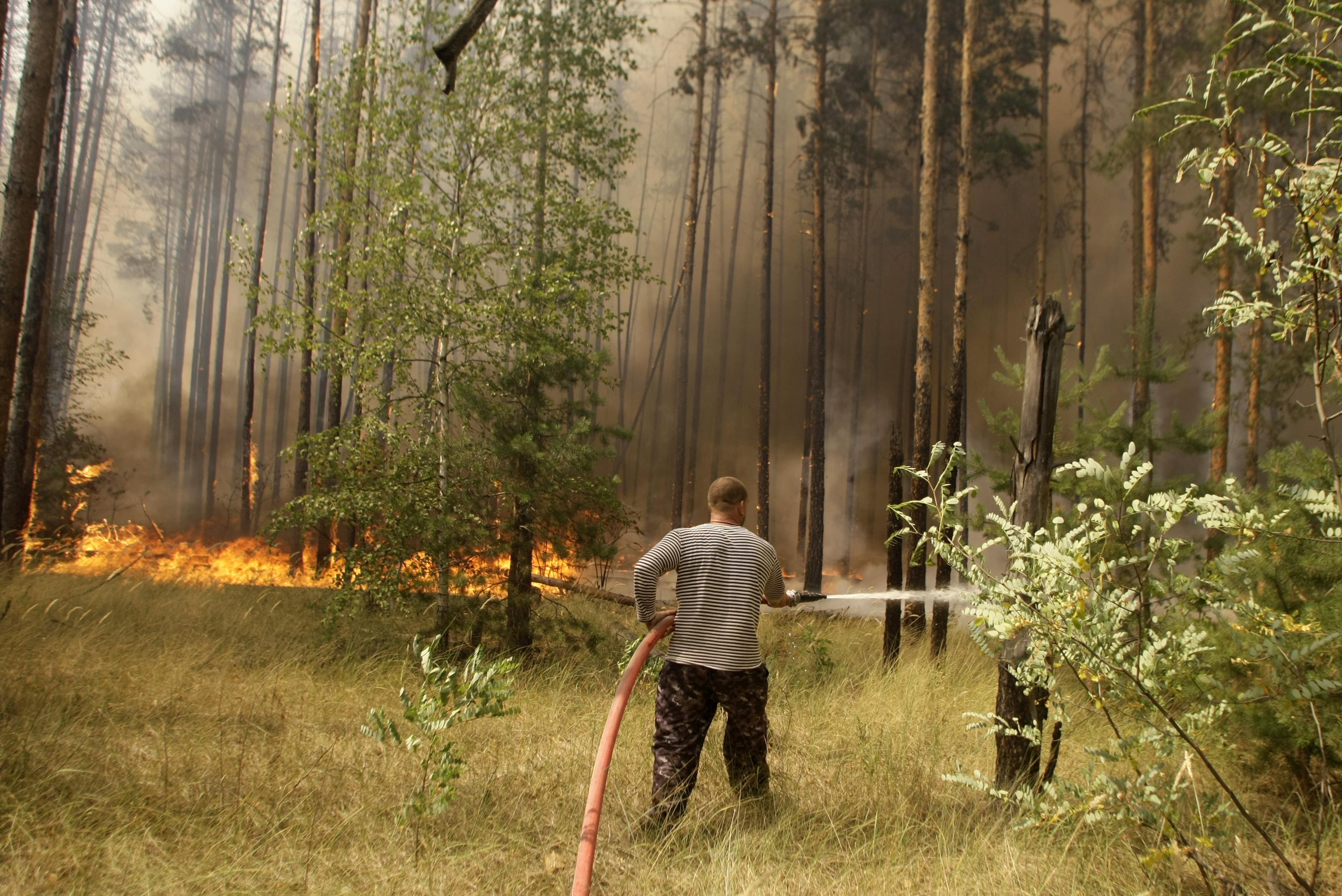 Skogsbrand, Brandförsvaret, Eld, Ryssland, Dmitrij Medvedev, Medvedev