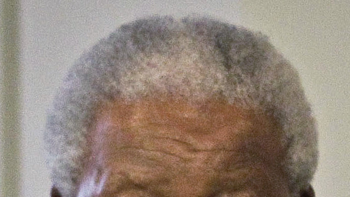 Nelson Mandela gick bort för drygt ett år sedan. 
