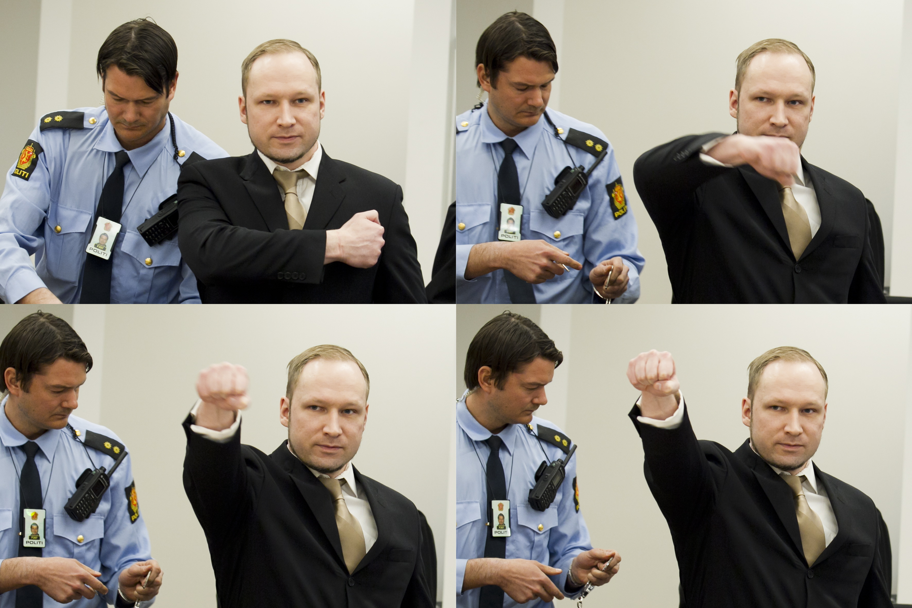 Breiviks uppmaningar att sprida ideologin på Wikipedia har fått fäste.