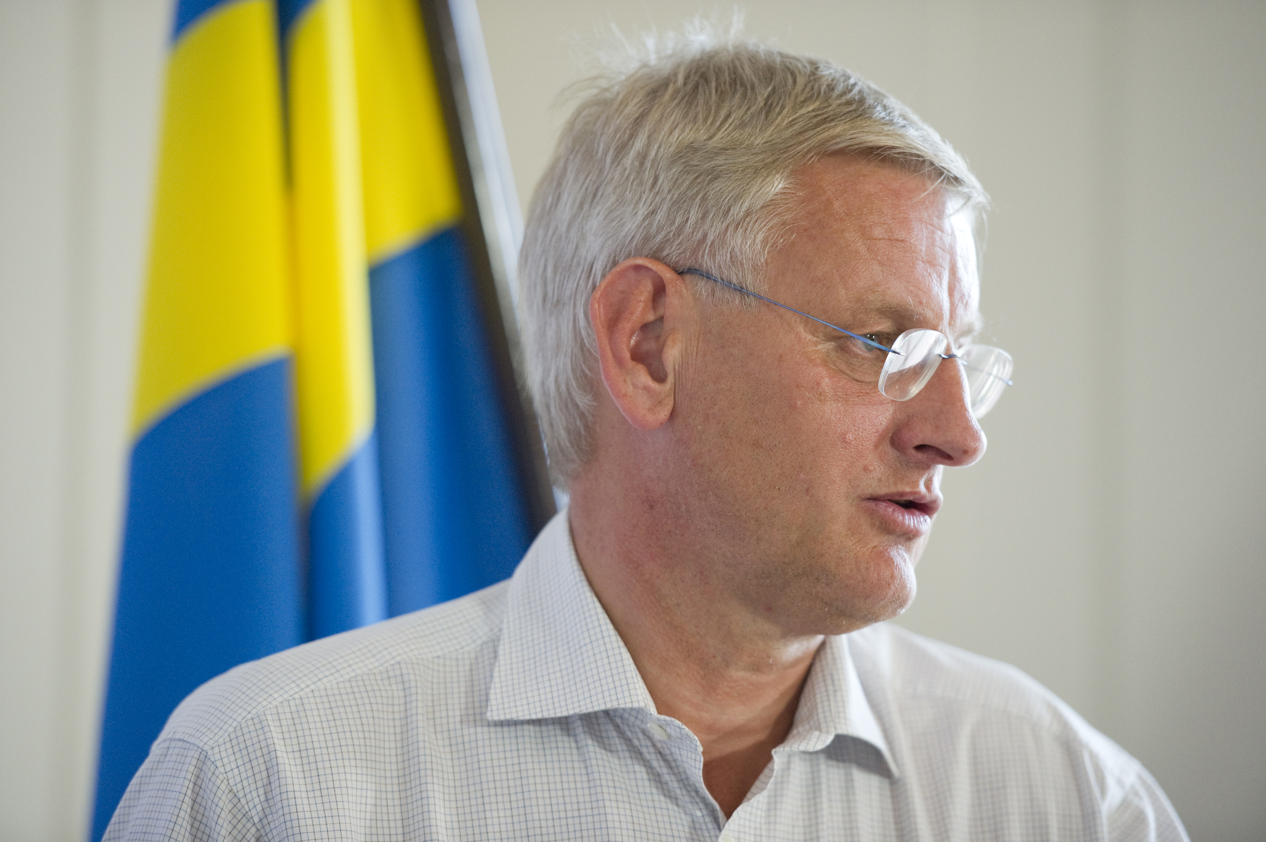 Carl Bildt, Internet, Rapport, Afghanistan, Wikileaks