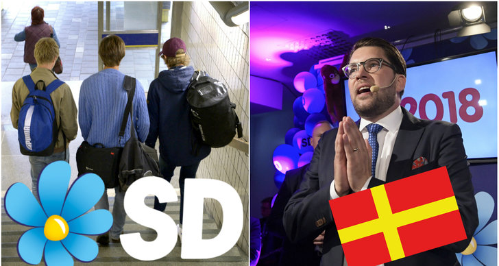 Skolval, Sverigedemokraterna