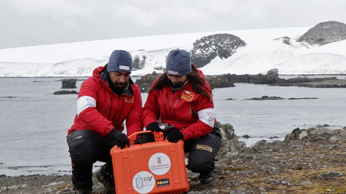 Forskarna Alexis Gaete och Macarena Vara under arbetet på Antarktis.