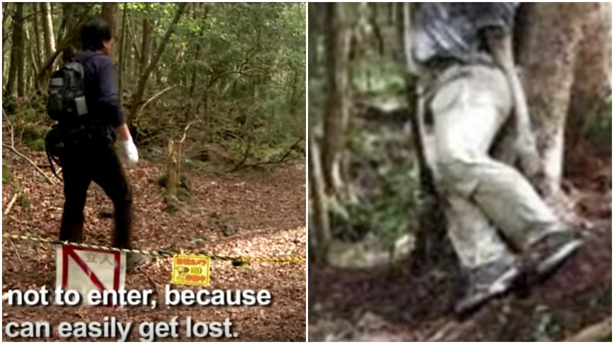 Skog i Japan där över 100 per år tar självmord