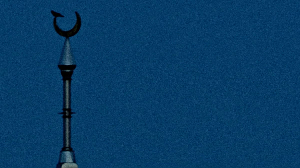 Supermånen dyker upp bakom ett minaret i Tampa Bay, USA. 