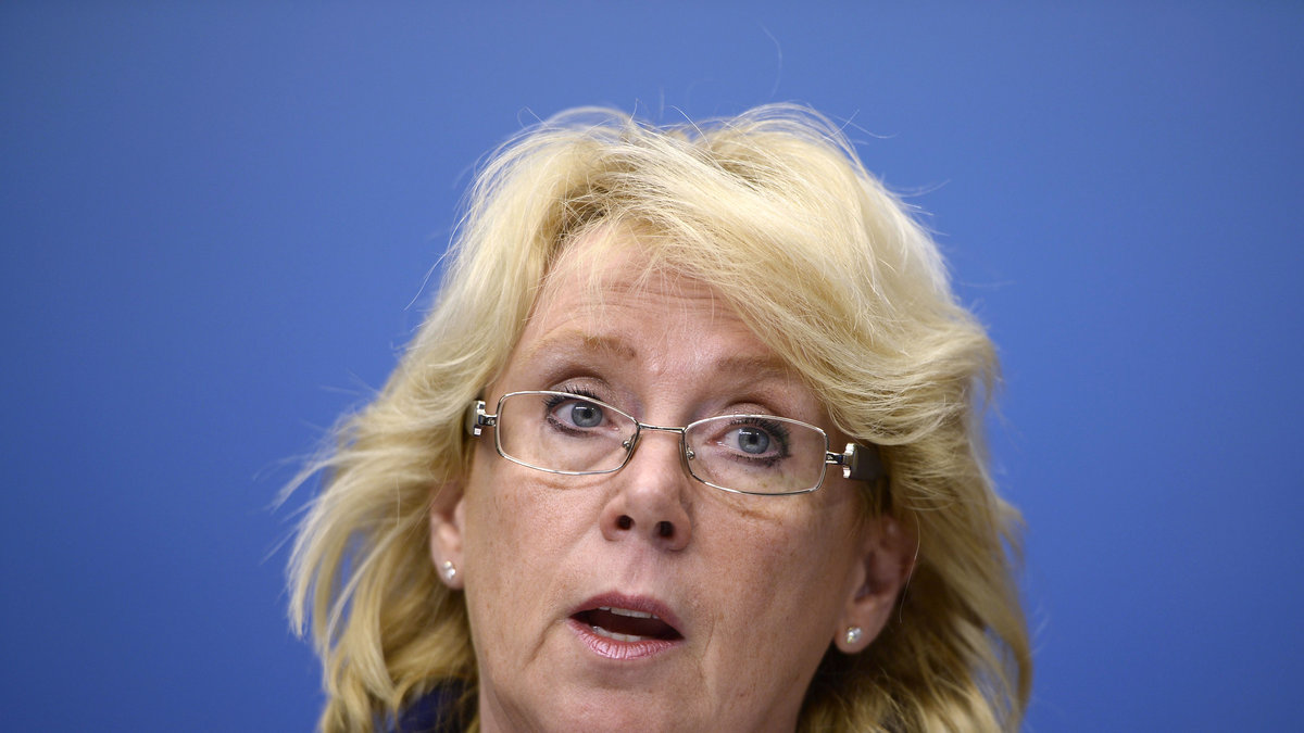 Lena Ek (C), miljöminister: 1 588 100 kronor.