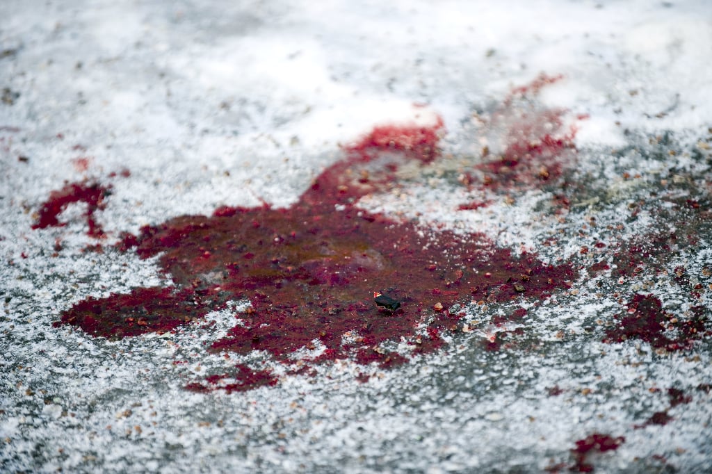 En blodpöl i snön, där Nancy Tavsan lämnades att dö.