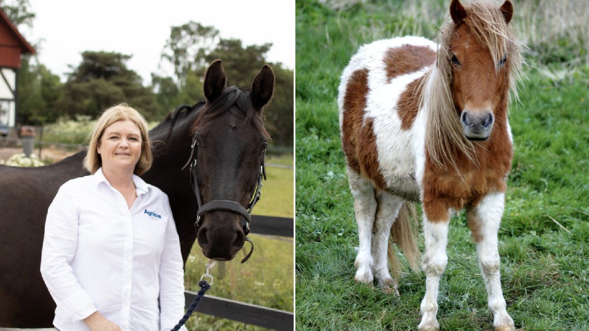 Veterinären Anette Graaf har koll på hästar.