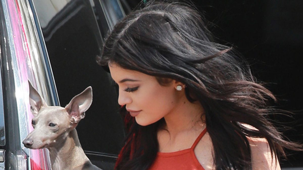 Kylie Jenner med en av sina många hundar.