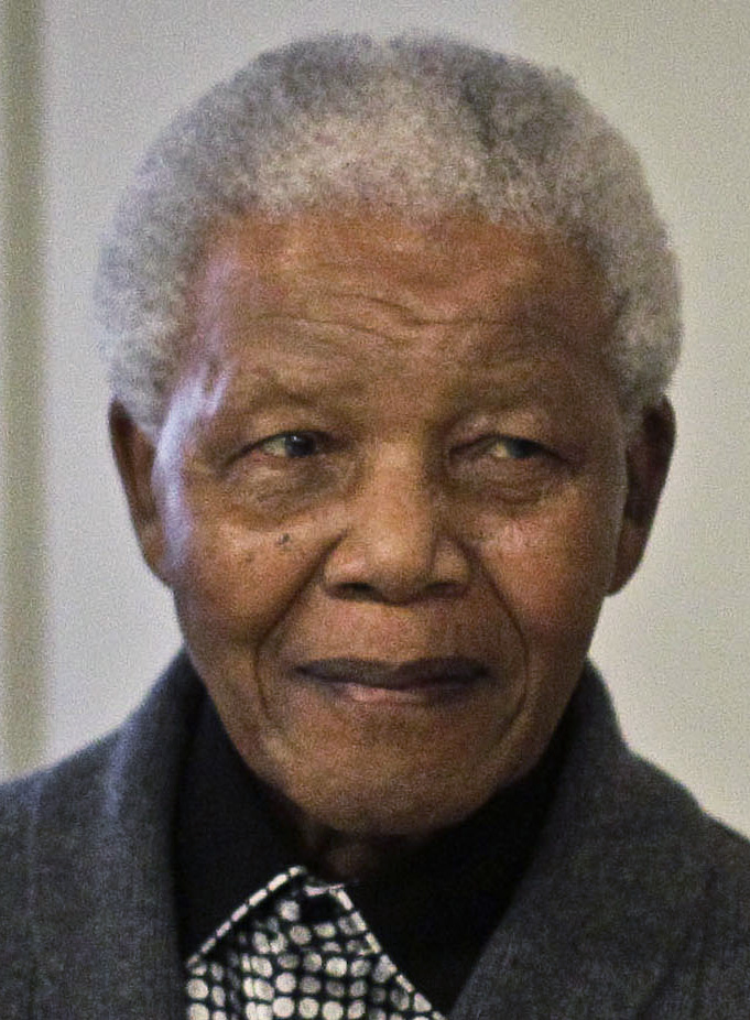 Nelson Mandela gick bort för drygt ett år sedan. 