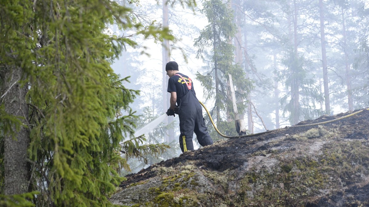 En skogsbrand bryter ut i Sala och Surahammars kommuner, den värsta skogsbranden i Sverige under modern tid. 
