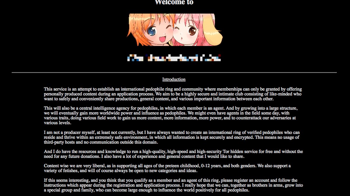 En av alla sajter på darknet, som verkar vara under konstruktion, innehåller beskrivningar om hur personen eller personerna bakom den har som mål att skapa en internationell pedofilring.
