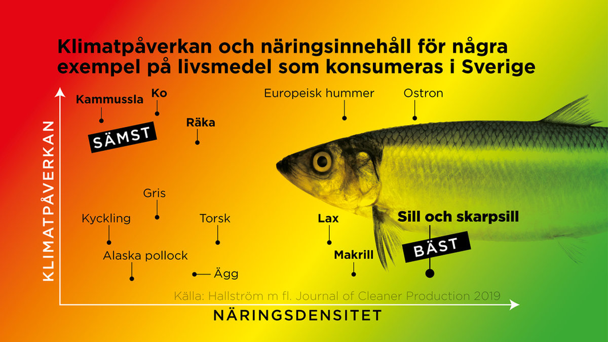 Klimatpåverkan och näringsinnehåll för några exempel på livsmedel som konsumeras i Sverige.