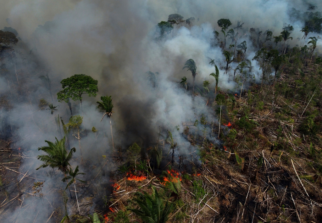Skogsbrand i Lábrea i delstaten Amazonas i september.