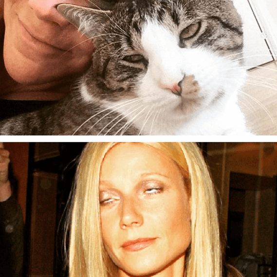 Gwyneth Paltrow. Gwyneth Paltrow.