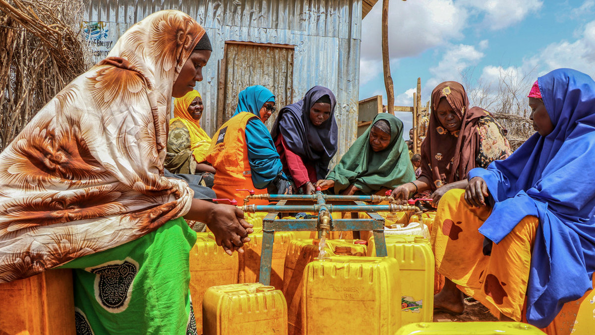 Hundratusentals somalier har tvingats lämna sina hem på grund av den svåra torkan. På bilden syns kvinnor i ett läger för internflyktingar som fyller på sina vattendunkar tidigare i juni.