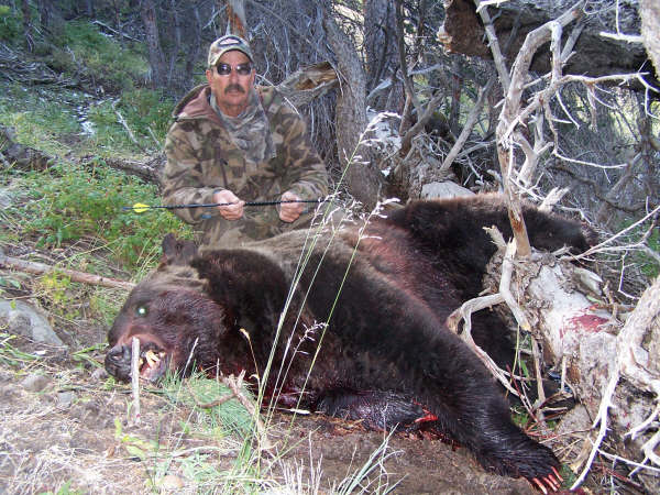Tre björnjägare skadesköt en björnhona så svårt att hon senare fick avlivas. Liksom hennes tre björnungar. Bilden har inget samband med händelsen.