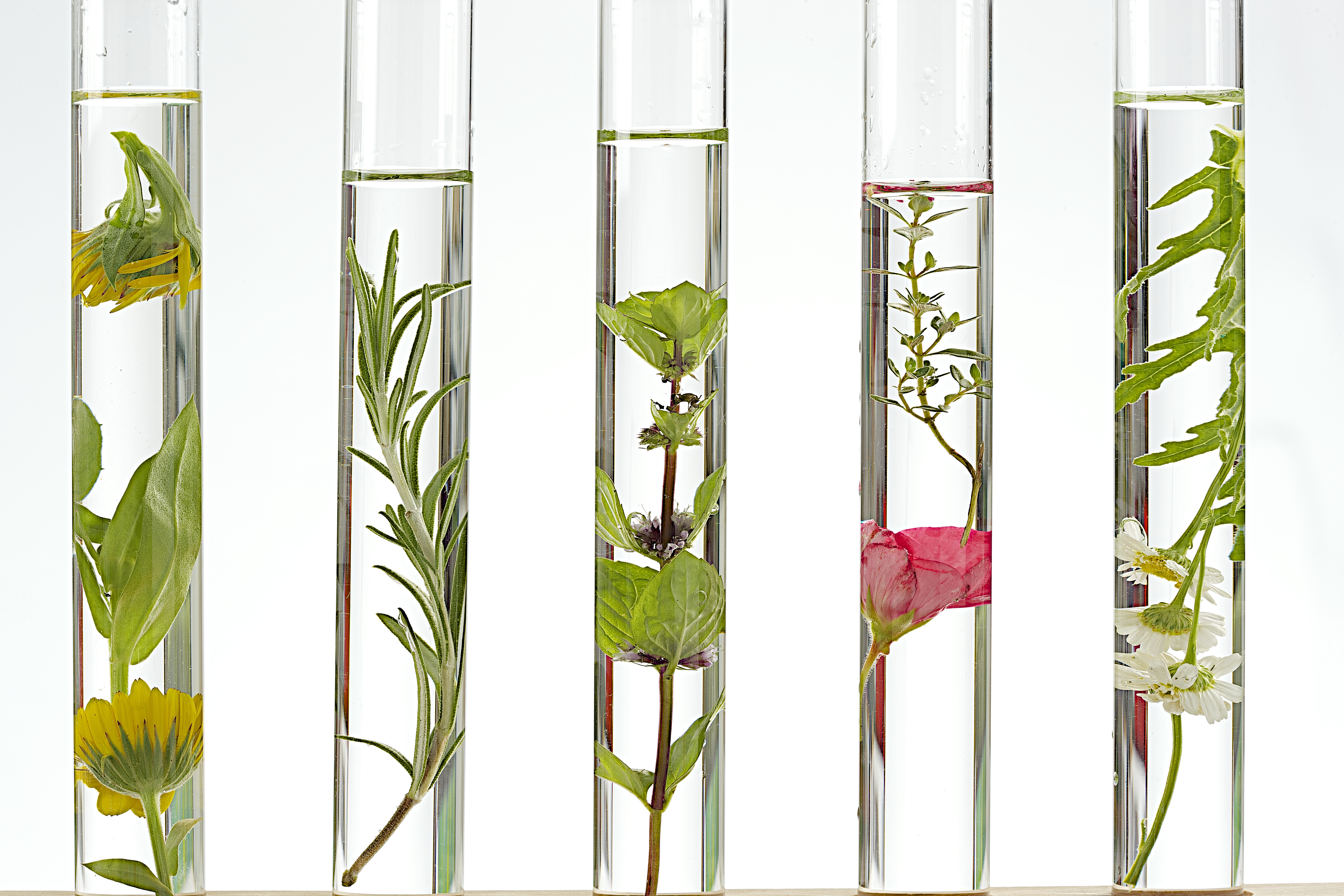 Aktiva ingredienser i hudvård Aktiva ingredienser i hudvård