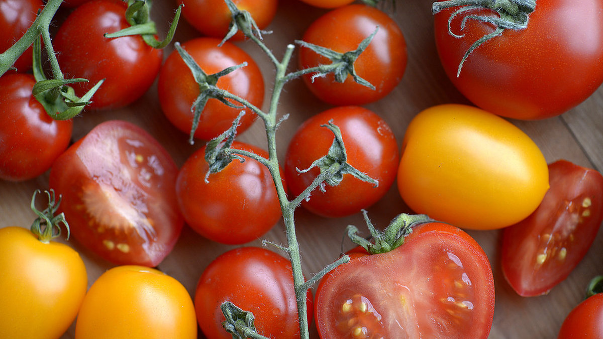 Ingen vill väl ha mögliga och smaklösa tomater? Tänkte väl det. Håll det då utanför ditt kylskåp. 