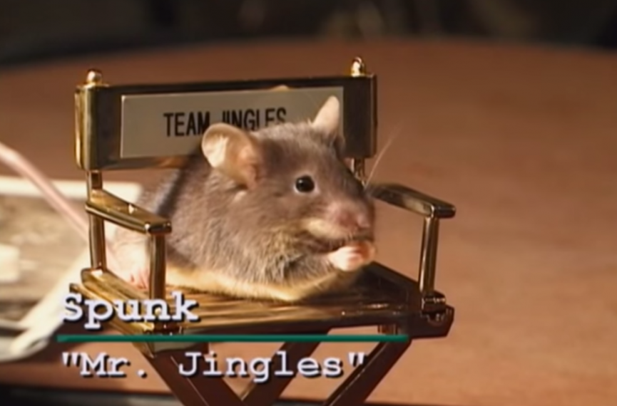 Mössen som spelade Mr. Jingles hade en egen stol Mössen som spelade Mr. Jingles hade en egen stol