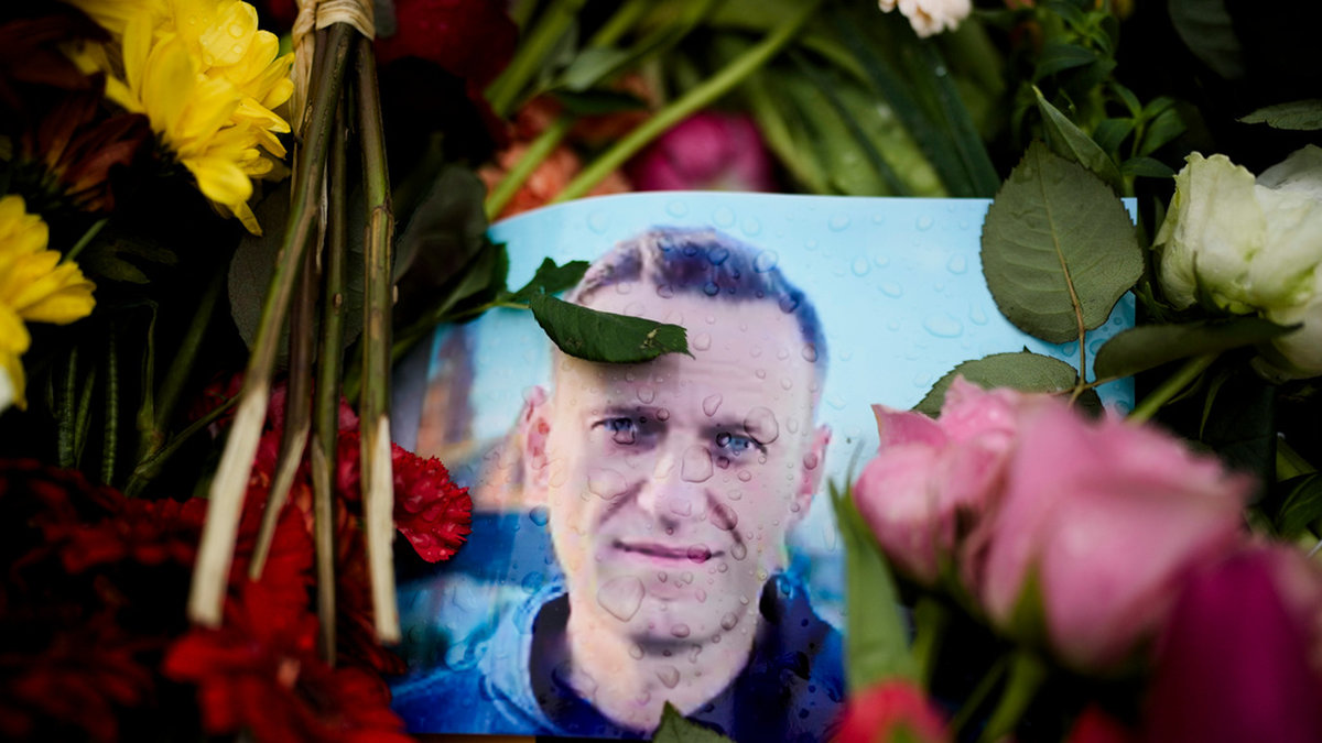 Aleksej Navalnyj hedrad med blommor och porträtt vid ryska ambassaden i Berlin. Arkivbild.