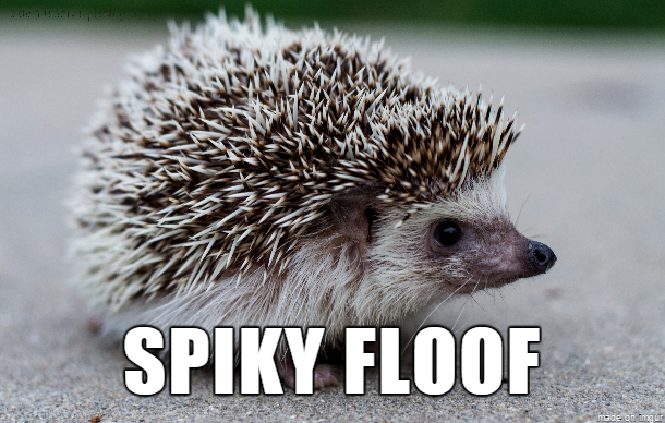 En liten "spikfluff" <3 En liten "spikfluff" <3