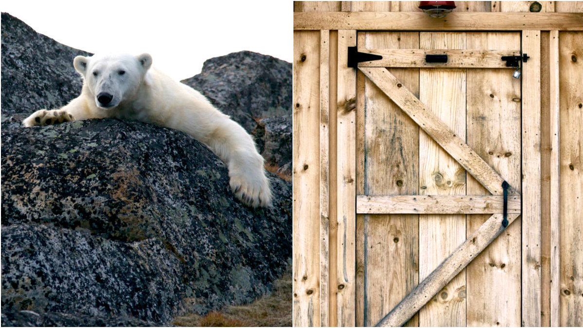 En isbjörn bröt sig in på ett hotell i Norge.