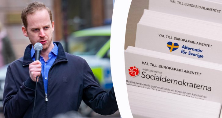 Gustav Kasselstrand, Alternativ för Sverige, EU-valet 2019