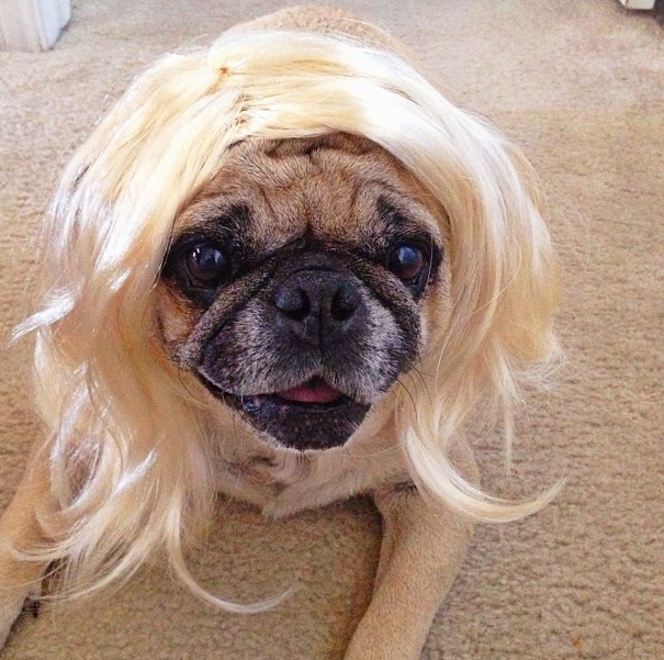 Blondiner har roligare. Blondiner har roligare.