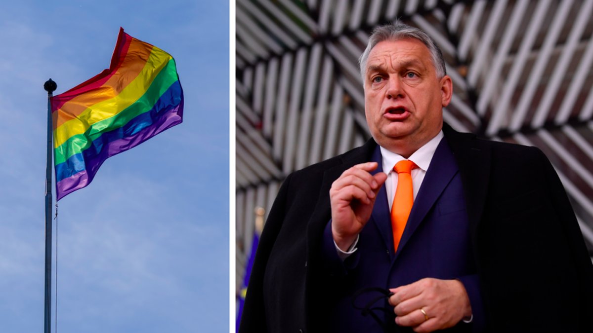 Enligt premiärminister Viktor Orbán kommer lagen bidra i bekämpandet av pedofili