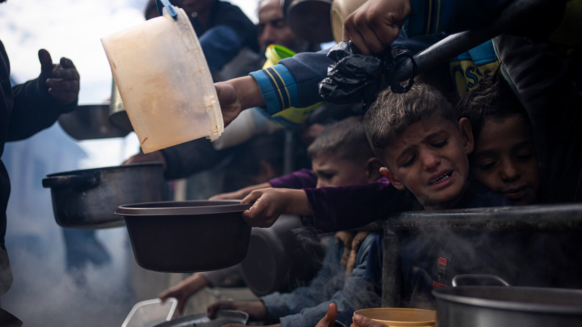 Palestinier köar för ett gratis mål mat i Rafah den 16 februari.