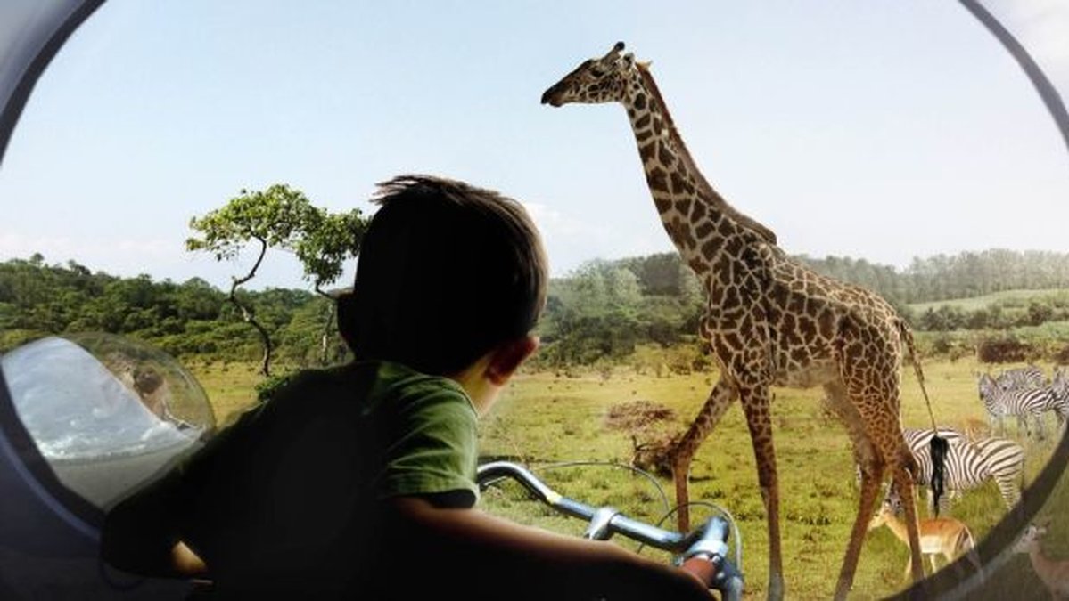 Vad sägs om en cykeltur bland giraffer och zebror?