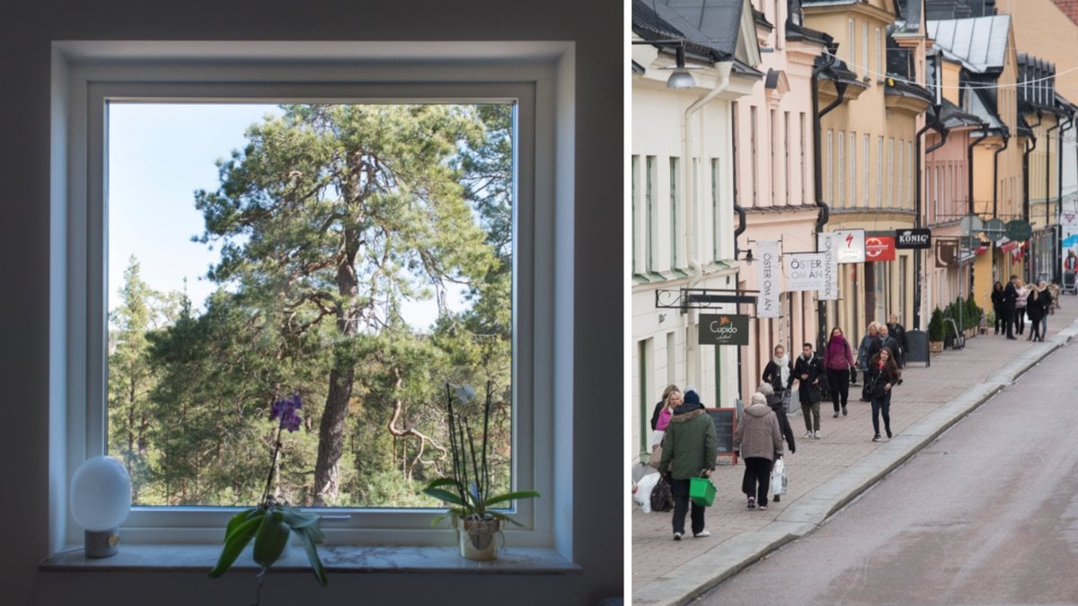 Genrebild på fönster och genrebild på Uppsala.