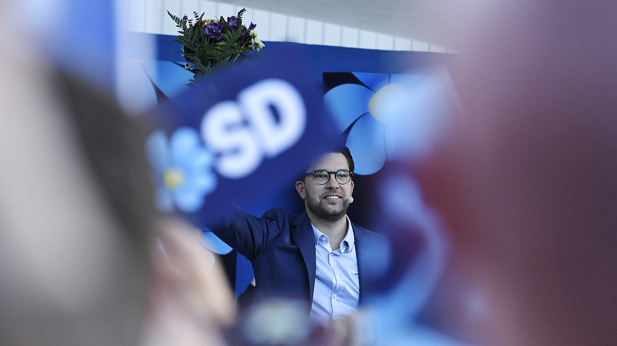 Sverigedemokraterna vill bilda en koalitionsregering med Alliansen. 
